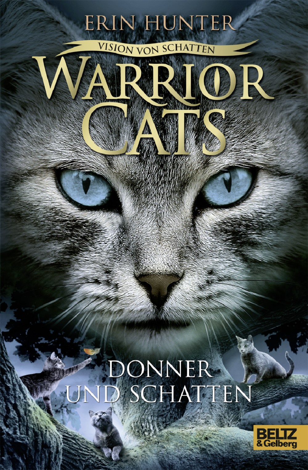 Warrior Cats Vision Von Schatten Donner Und Schatten