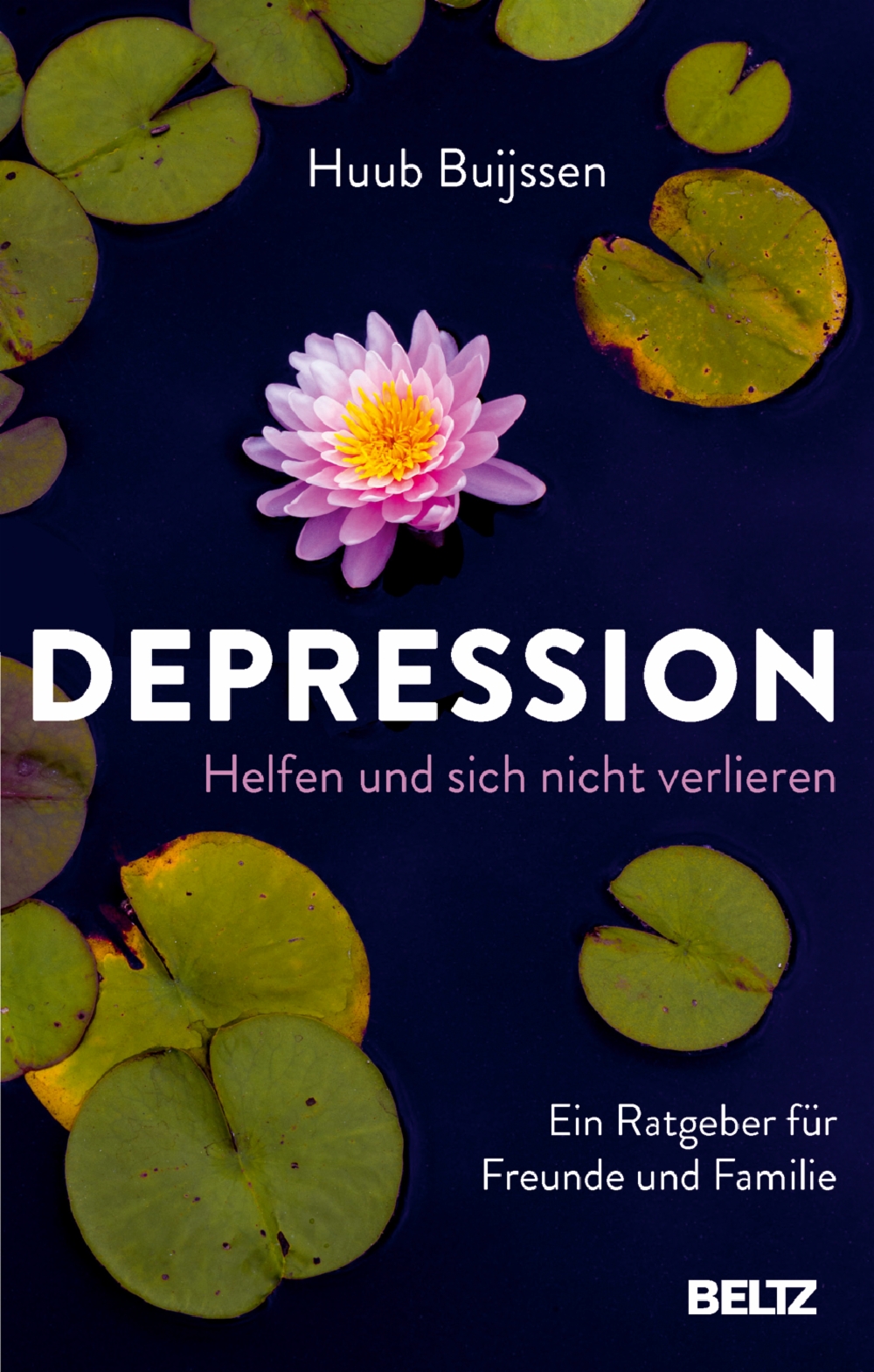 Depression Helfen Und Sich Nicht Verlieren Ein Ratgeber Fur Freunde Und Familie Huub Buijssen Beltz